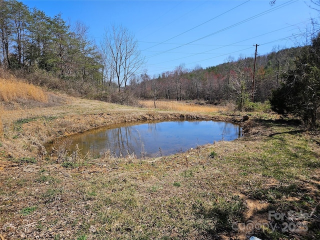 water view featuring a wooded view