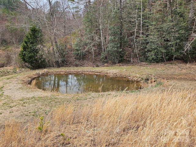 water view featuring a view of trees