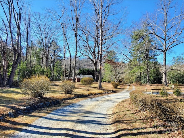 view of road with a forest view