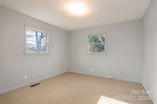 carpeted spare room featuring a wealth of natural light, visible vents, a textured ceiling, and baseboards