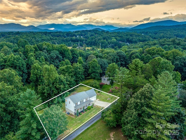 drone / aerial view with a mountain view and a view of trees