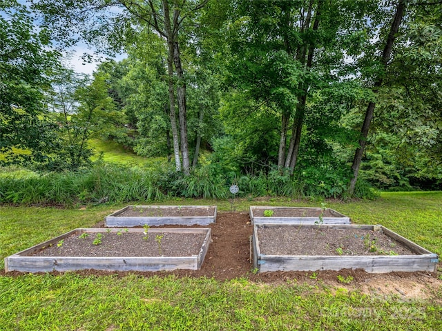 view of yard with a garden