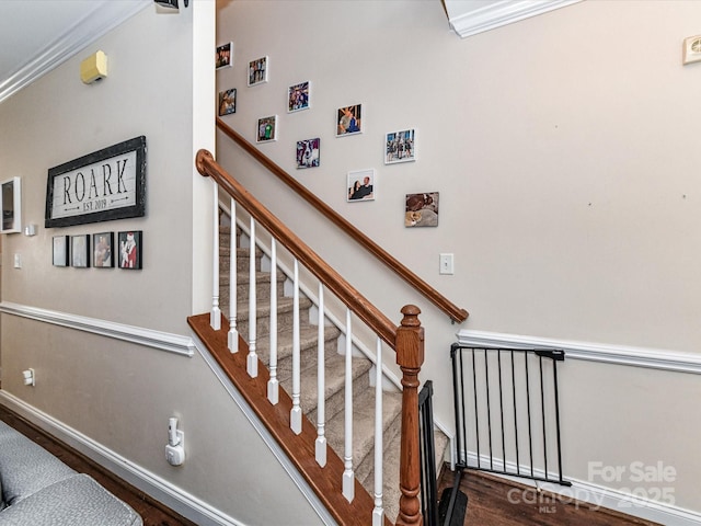 staircase featuring baseboards and wood finished floors