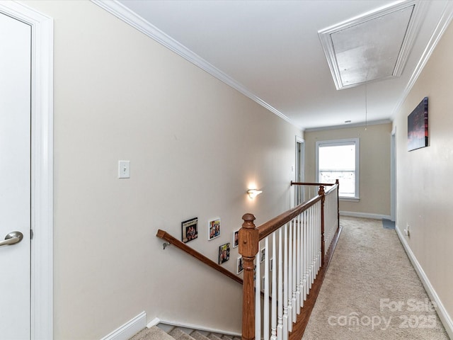 corridor with an upstairs landing, light carpet, crown molding, baseboards, and attic access