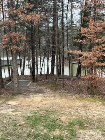 19011 Dry Narrows Way, Charlotte, NC 28278 - view of yard