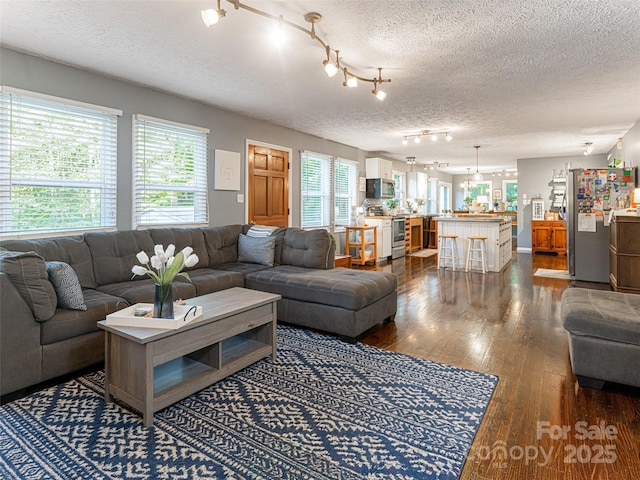 living area featuring dark wood-style flooring and a textured ceiling