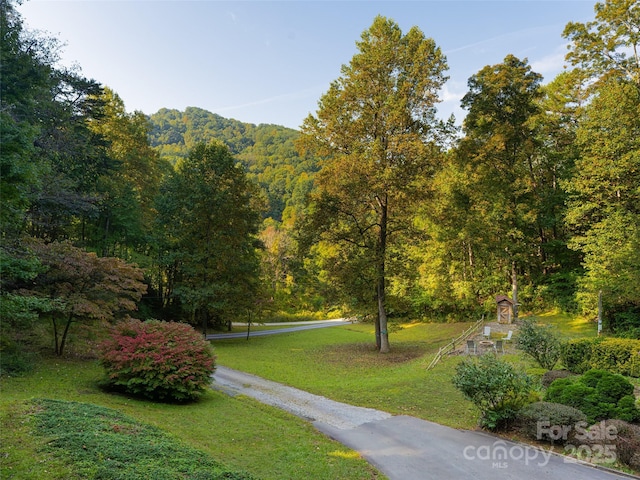 surrounding community with a lawn and a view of trees