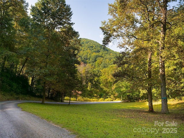 view of home's community featuring a mountain view, a view of trees, and a yard