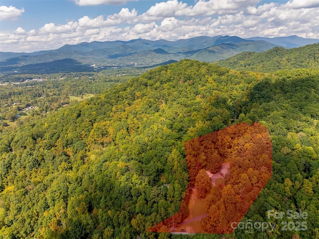 bird's eye view with a mountain view and a view of trees