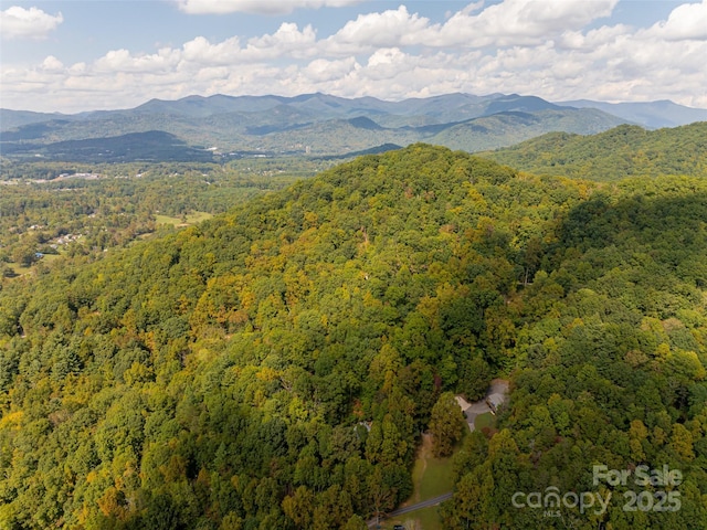 view of mountain feature featuring a view of trees