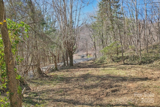 151 Maney Branch Rd, Weaverville NC, 28787 land for sale