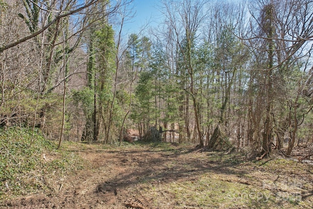 Listing photo 3 for 151 Maney Branch Rd, Weaverville NC 28787