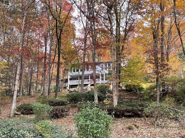 exterior space featuring a wooden deck and a view of trees