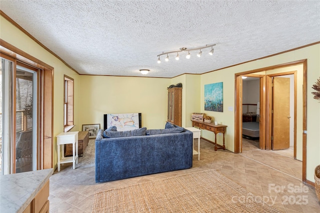 living area featuring baseboards, a textured ceiling, and crown molding