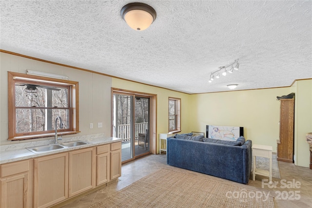 kitchen with ornamental molding, light brown cabinets, a sink, light countertops, and light tile patterned floors