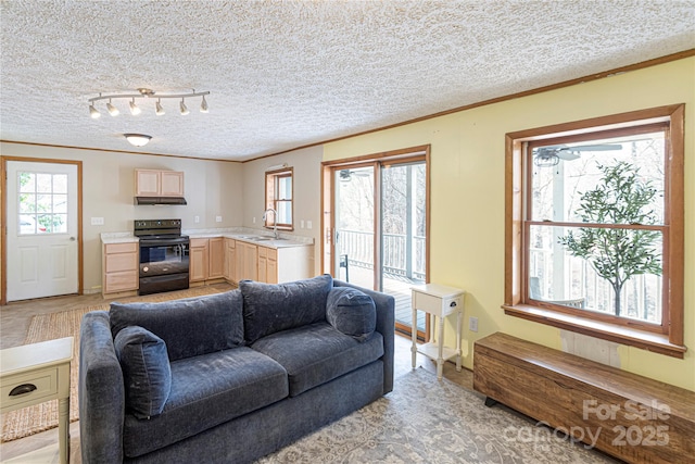 living room with plenty of natural light, a textured ceiling, and ornamental molding