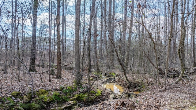 view of landscape with a wooded view