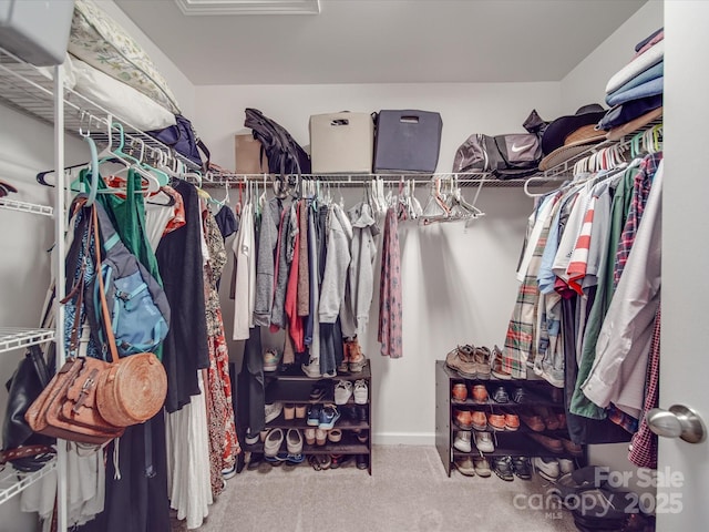 spacious closet featuring carpet