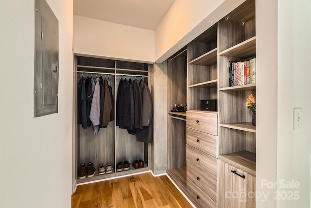 walk in closet with electric panel and wood finished floors