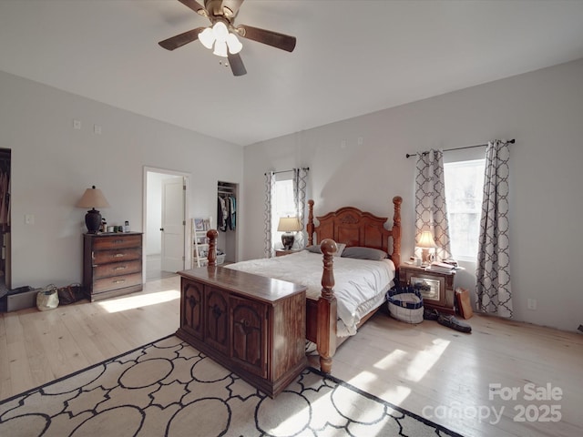 bedroom featuring a walk in closet, light wood-style flooring, a ceiling fan, and a closet