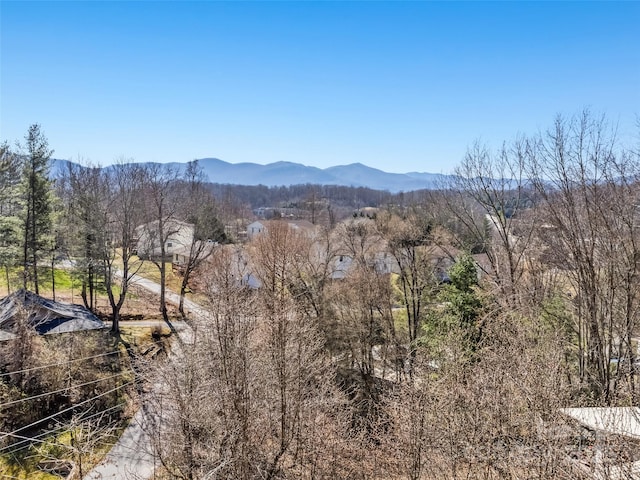 view of mountain feature with a view of trees