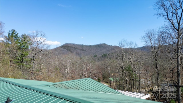 view of mountain feature featuring a view of trees