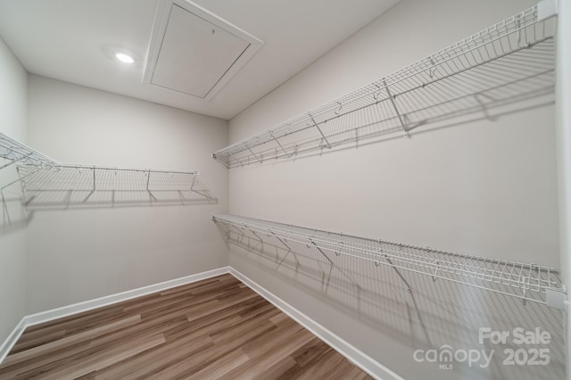 1819 Lotus Ln, Denver, NC 28037 - spacious closet with attic access and wood finished floors