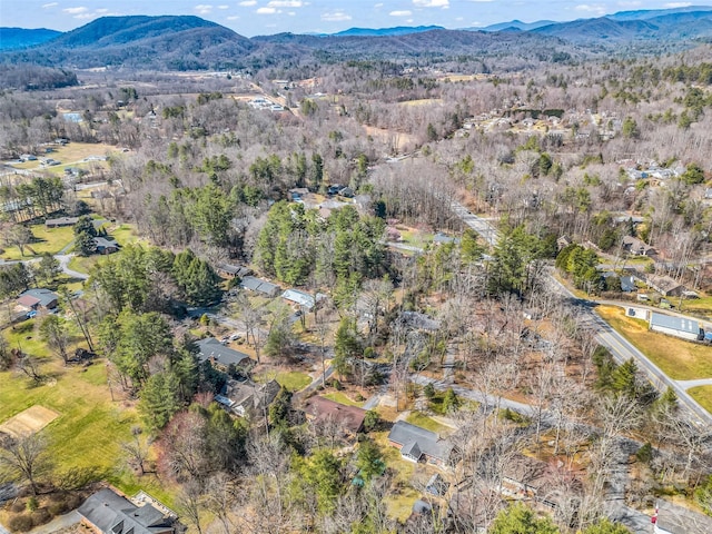 aerial view with a mountain view