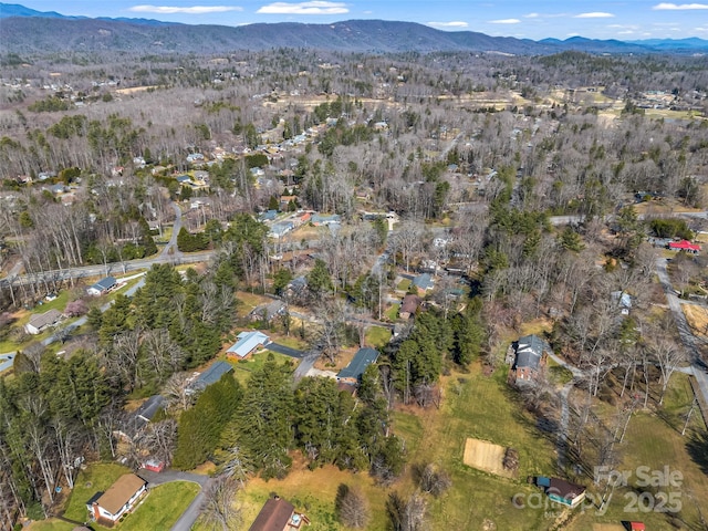 birds eye view of property featuring a mountain view