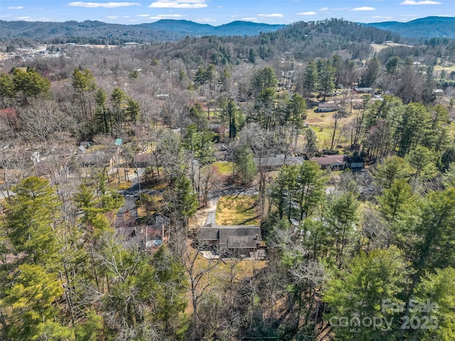 birds eye view of property featuring a mountain view and a view of trees