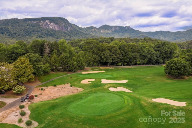 view of home's community with a forest view, a mountain view, and golf course view