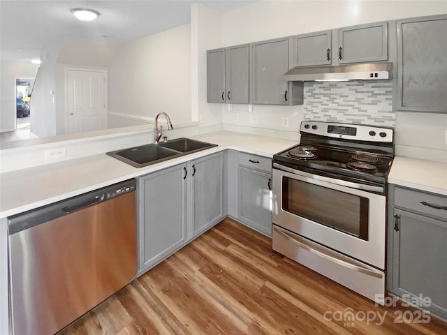 kitchen with gray cabinets, under cabinet range hood, a sink, stainless steel appliances, and light wood finished floors