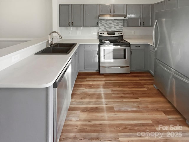 kitchen featuring light wood-type flooring, gray cabinetry, under cabinet range hood, a sink, and appliances with stainless steel finishes