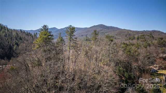 view of mountain feature with a forest view