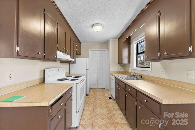 kitchen with under cabinet range hood, a sink, white appliances, light countertops, and dark brown cabinets