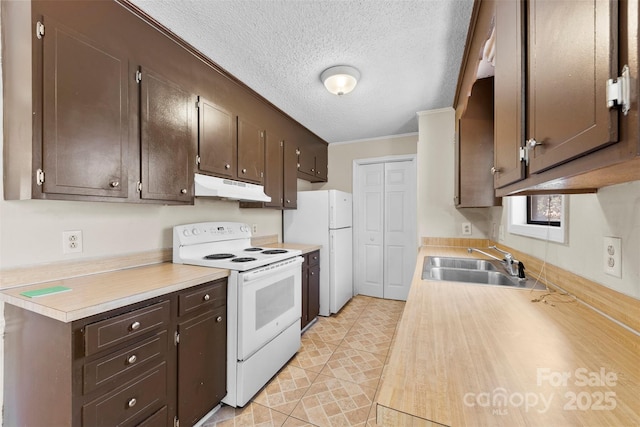 kitchen featuring dark brown cabinets, under cabinet range hood, light countertops, white appliances, and a sink