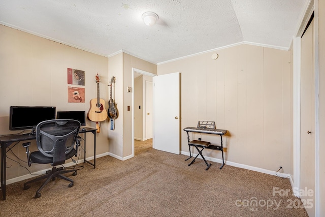 carpeted office space featuring a textured ceiling, crown molding, and vaulted ceiling