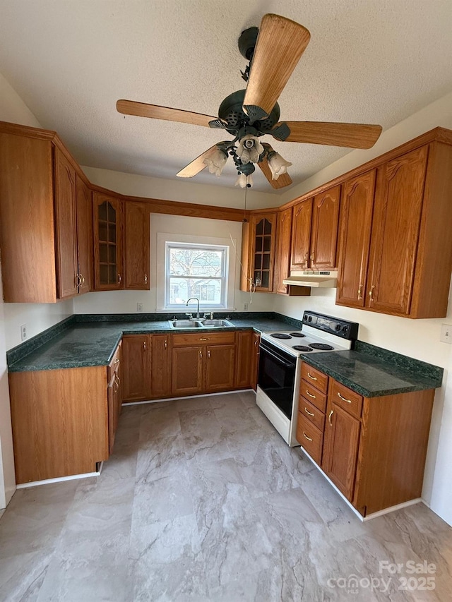 kitchen featuring a sink, range with electric cooktop, glass insert cabinets, under cabinet range hood, and brown cabinets