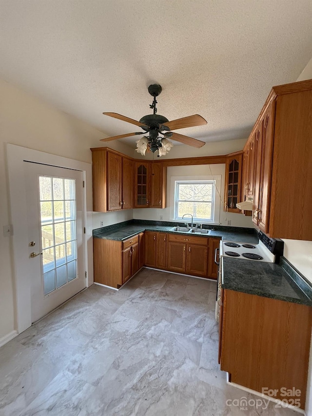 kitchen featuring glass insert cabinets, brown cabinetry, under cabinet range hood, and a sink