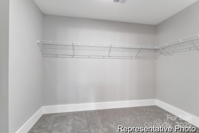 walk in closet with visible vents and carpet floors