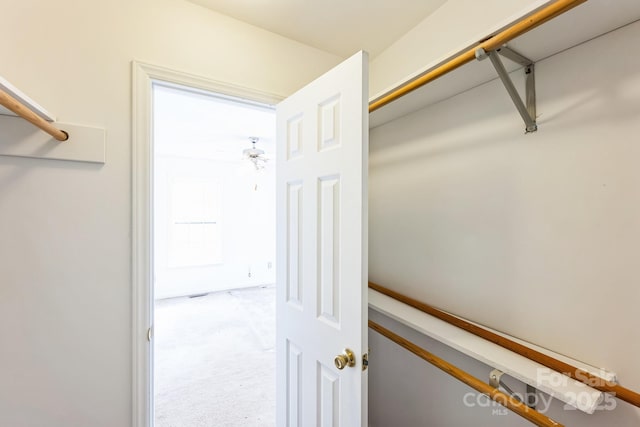 spacious closet featuring carpet floors