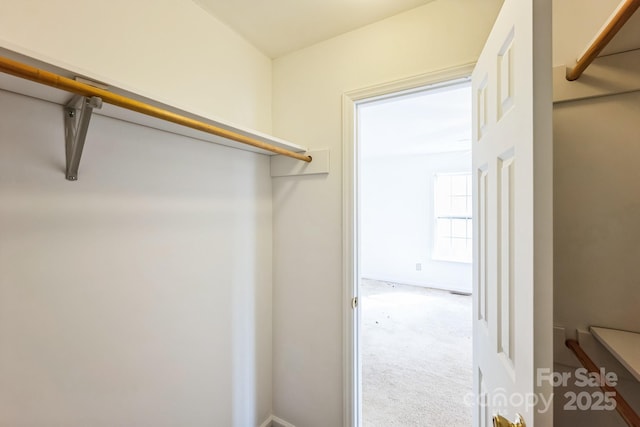 spacious closet featuring carpet floors