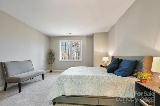 43 S Kuykendall Ct, Hendersonville, NC 28739 - photo 33