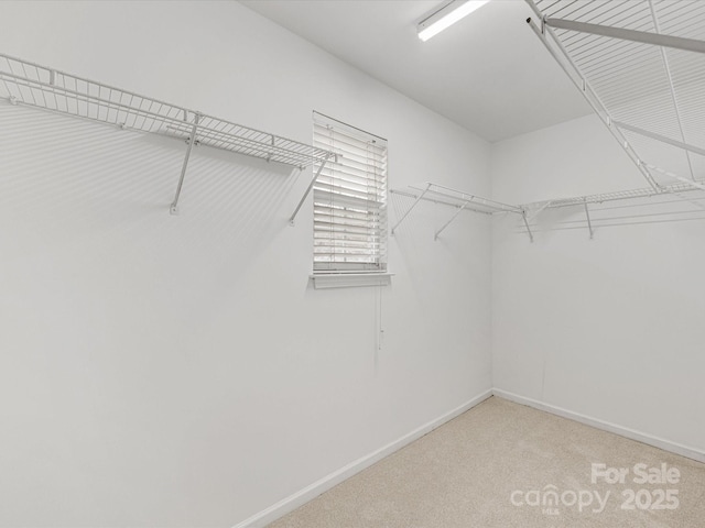 spacious closet with light colored carpet