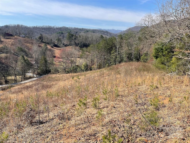 201 Crawford Cove Rd, Sylva NC, 28779 land for sale