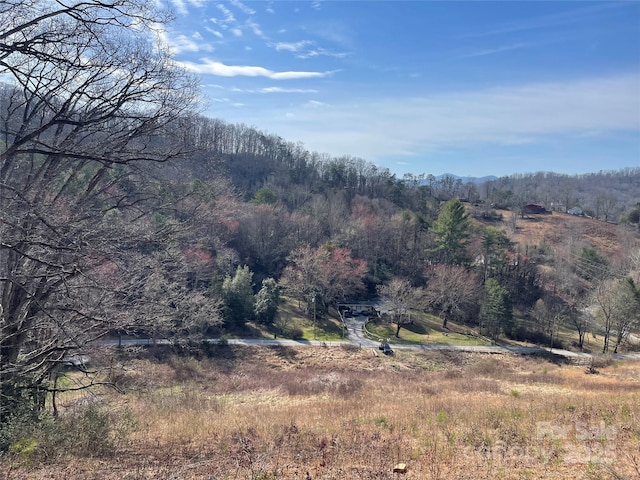 Listing photo 3 for 201 Crawford Cove Rd, Sylva NC 28779