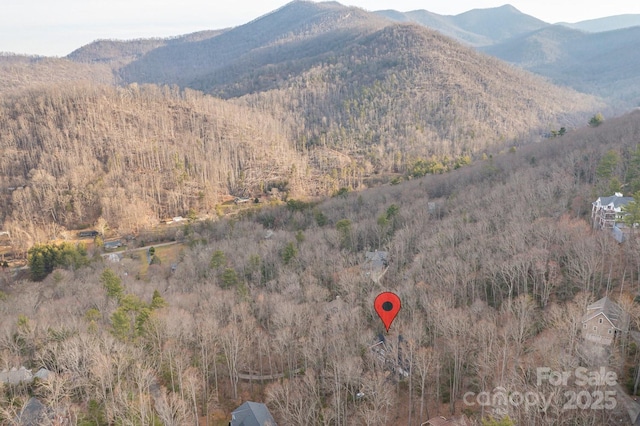 mountain view featuring a forest view