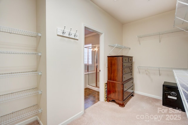 spacious closet with carpet flooring