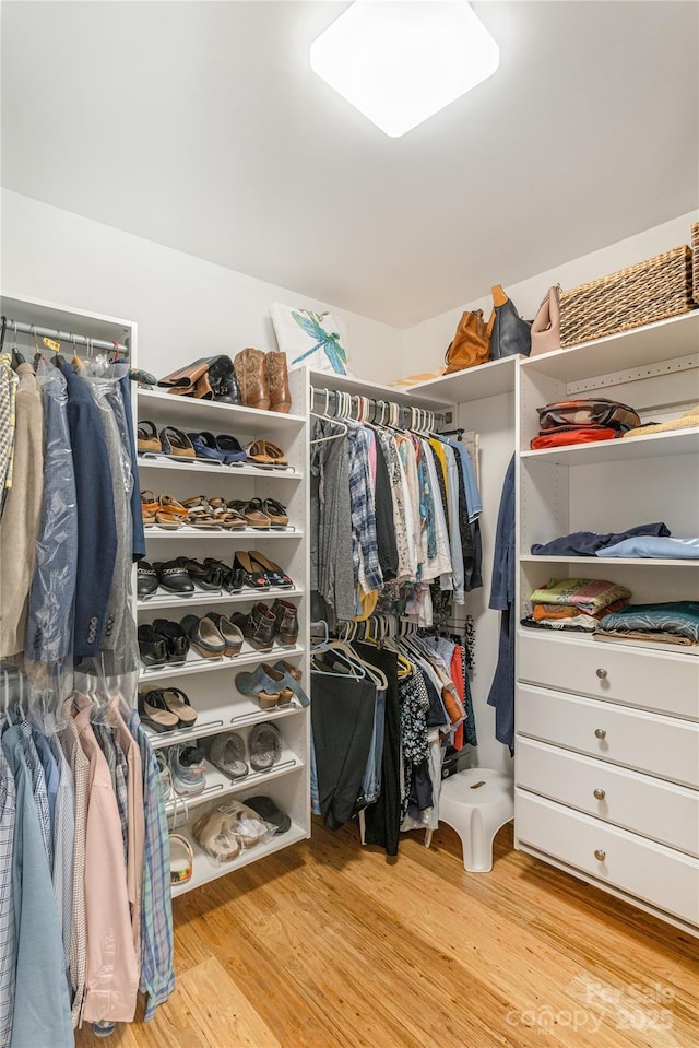 spacious closet with wood finished floors