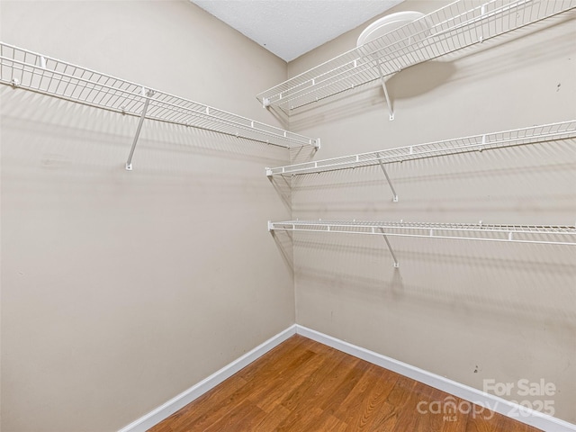 walk in closet featuring wood finished floors